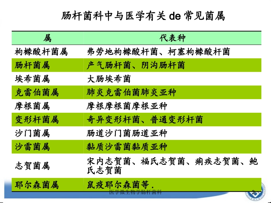 医学微生物学肠杆菌科培训课件.pptx_第3页