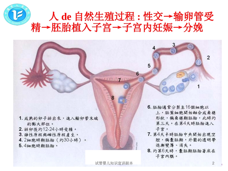 医学医疗试管婴儿知识宣讲培训课件.pptx_第2页