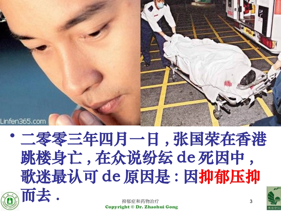 抑郁症和药物治疗培训课件.pptx_第3页