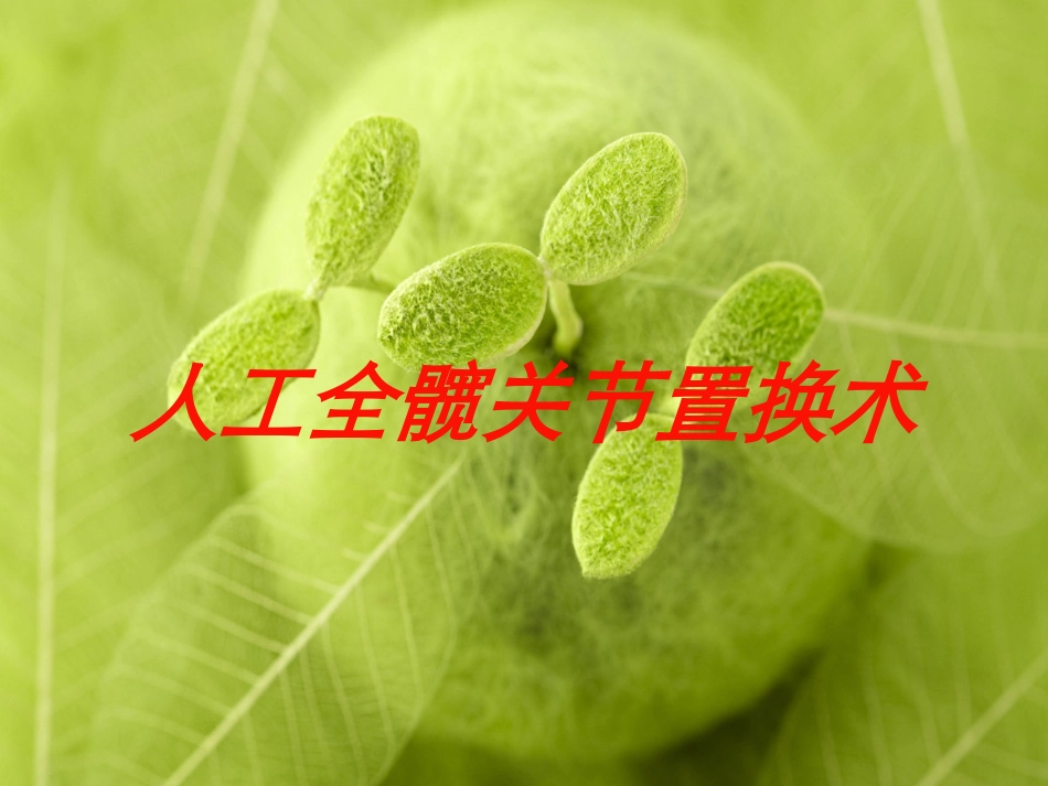 人工全髋关节置换术培训课件.pptx_第1页