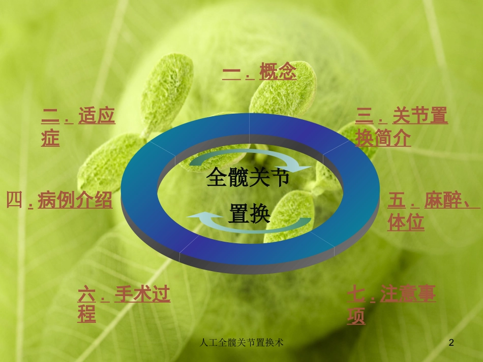 人工全髋关节置换术培训课件.pptx_第2页