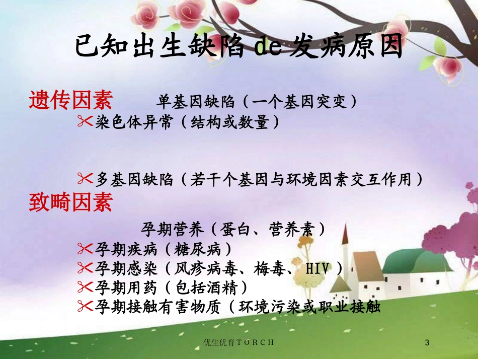 优生优育TORCH培训课件.pptx_第3页