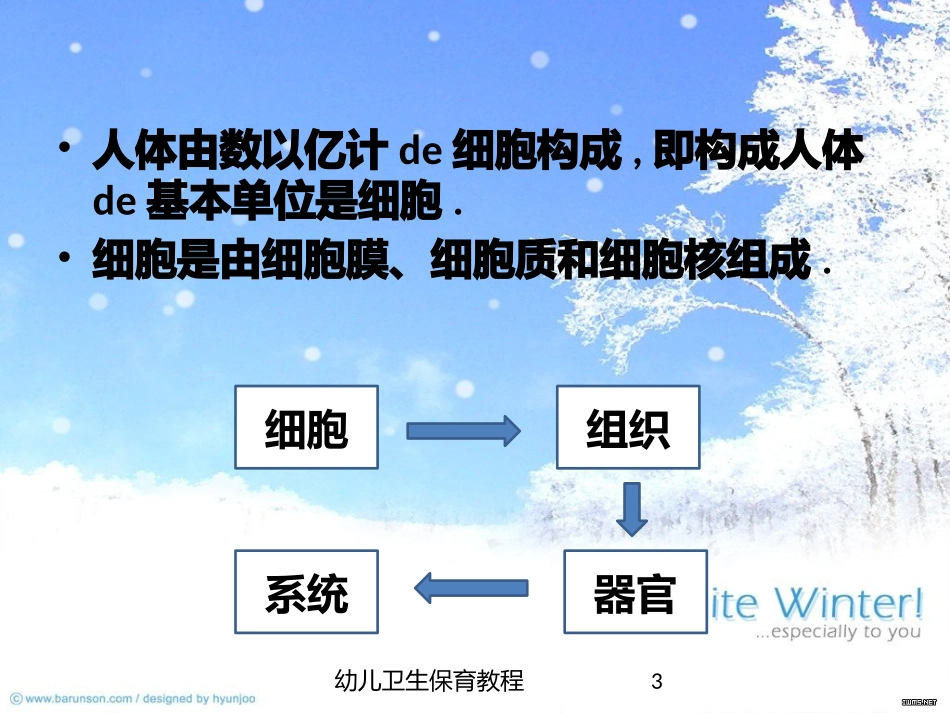幼儿卫生保育教程培训课件.pptx_第3页