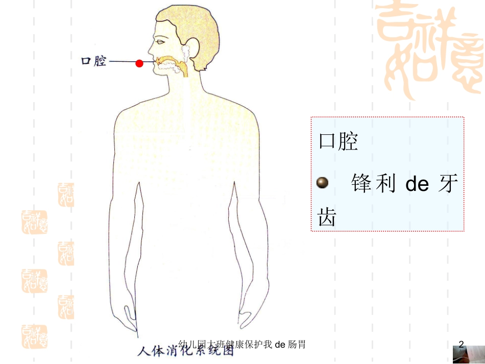 幼儿园大班健康保护我的肠胃培训课件.pptx_第2页