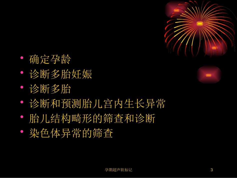 孕期超声软标记培训课件.pptx_第3页