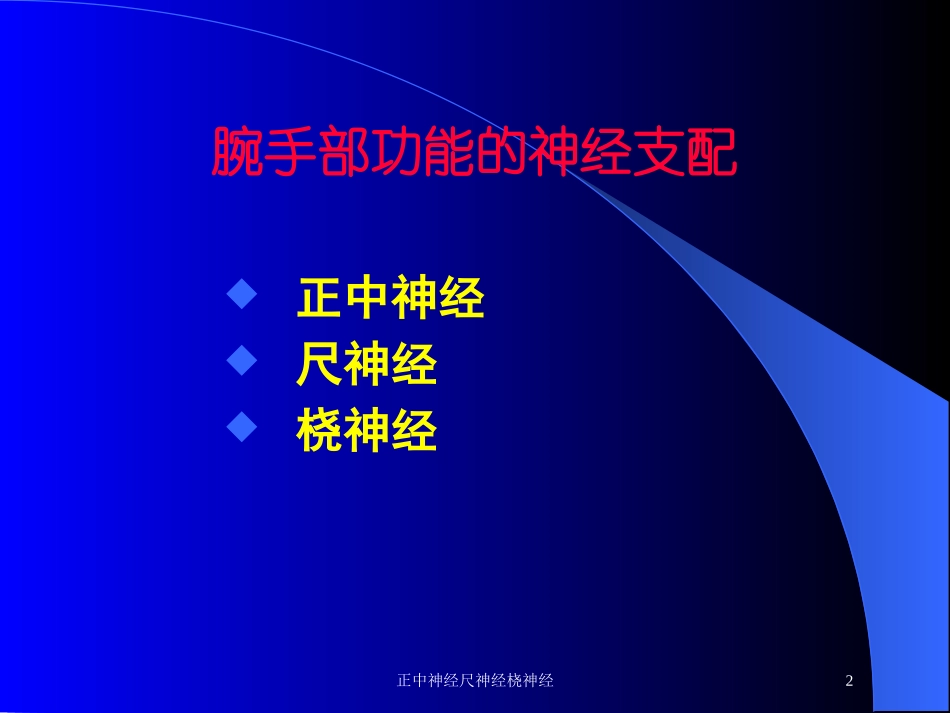 正中神经尺神经桡神经培训课件.pptx_第2页