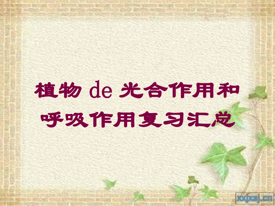 植物的光合作用和呼吸作用复习汇总培训课件.pptx_第1页