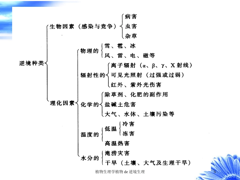 植物生理学植物的逆境生理培训课件.pptx_第3页