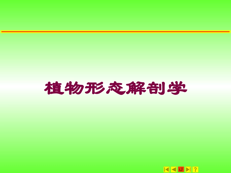 植物形态解剖学培训课件.pptx_第1页