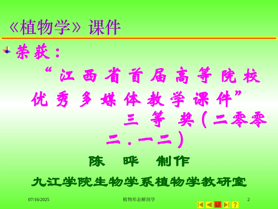 植物形态解剖学培训课件.pptx_第2页