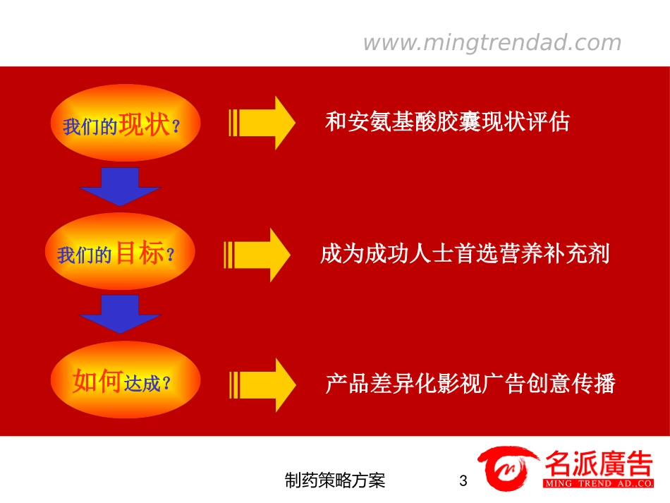 制药策略方案培训课件.pptx_第3页