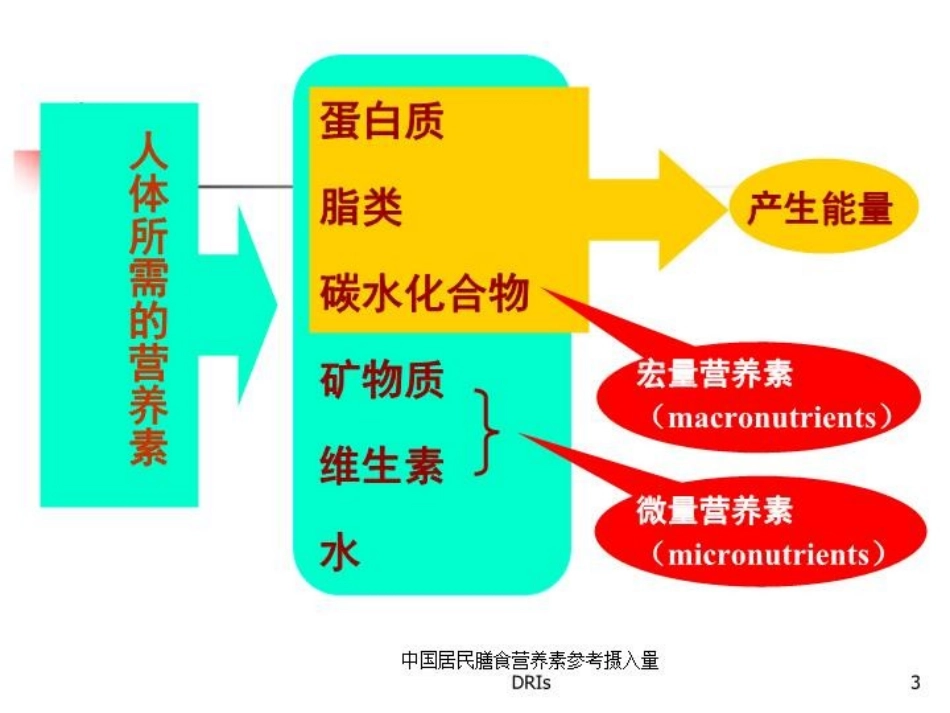 中国居民膳食营养素参考摄入量DRIs培训课件.pptx_第3页