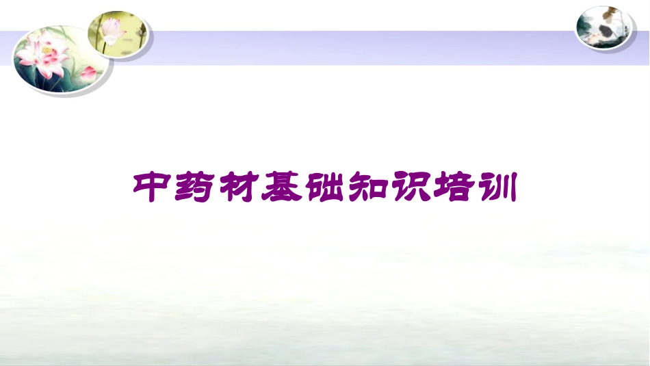 中药材基础知识培训培训课件.pptx_第1页