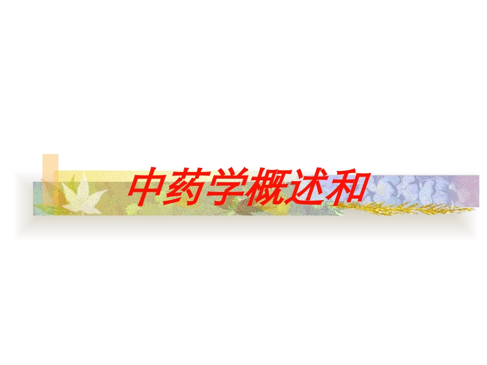 中药学概述和培训课件.pptx_第1页