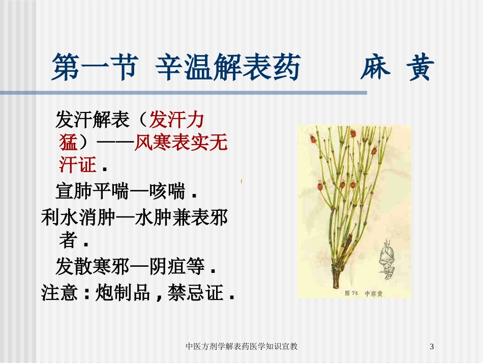 中医方剂学解表药医学知识宣教培训课件.pptx_第3页