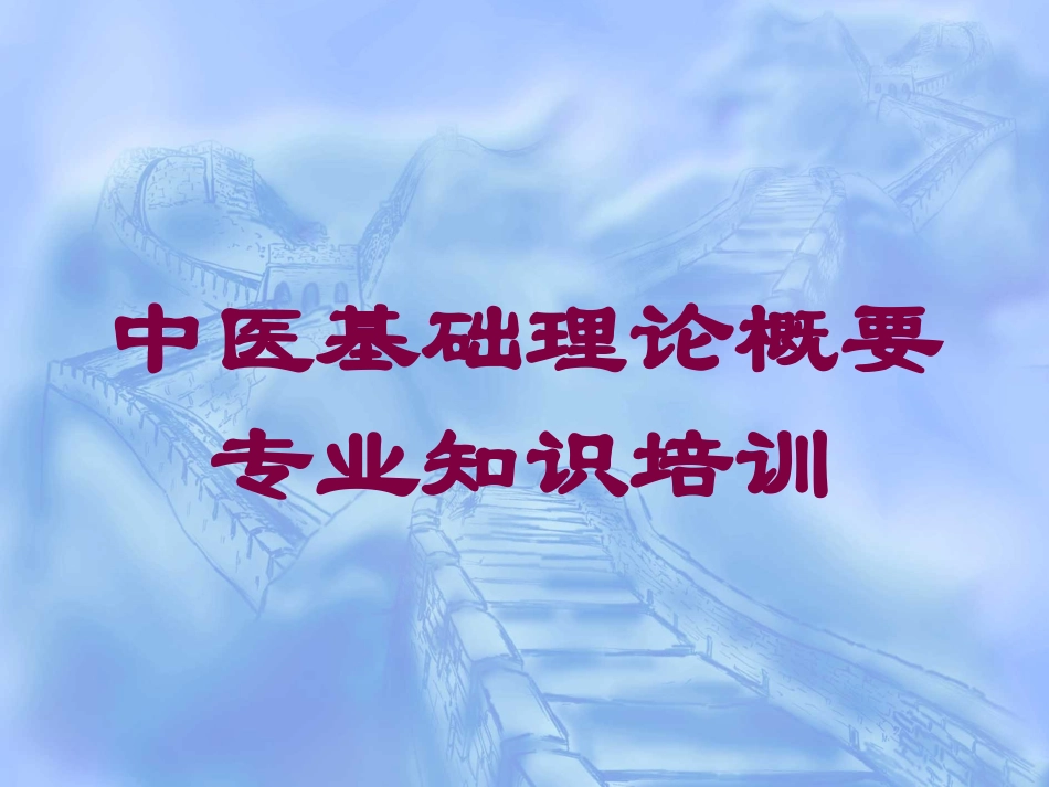 中医基础理论概要专业知识培训培训课件.pptx_第1页