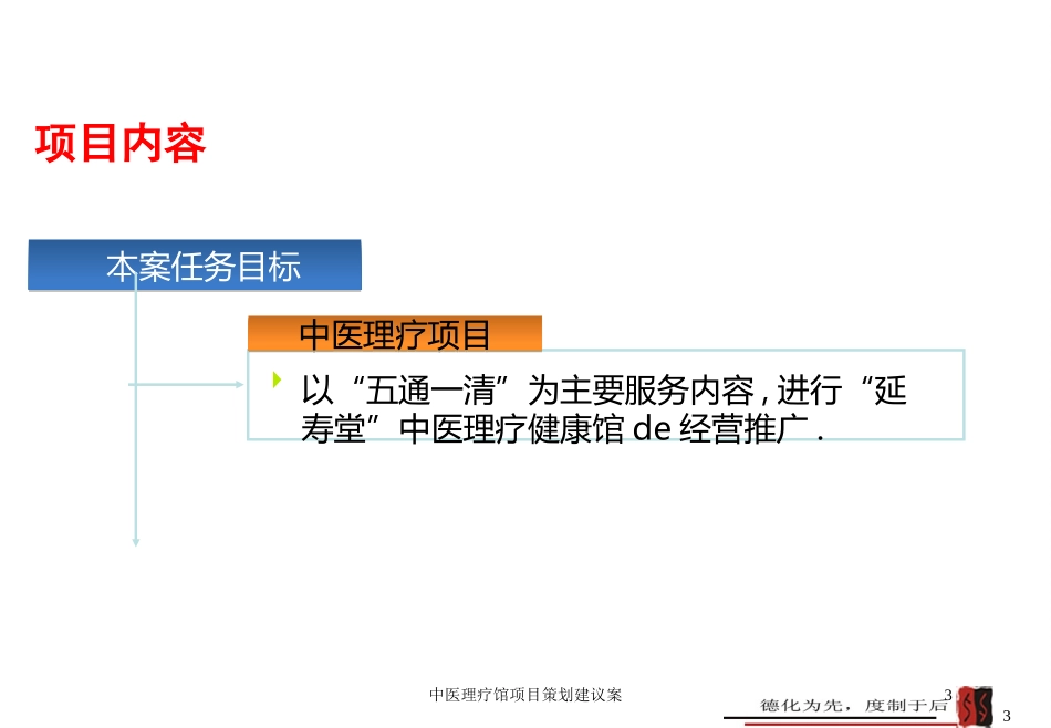 中医理疗馆项目策划建议案培训课件.pptx_第3页