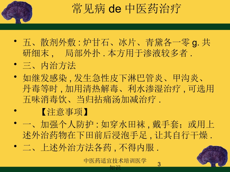 中医药适宜技术培训医学知识培训课件.pptx_第3页