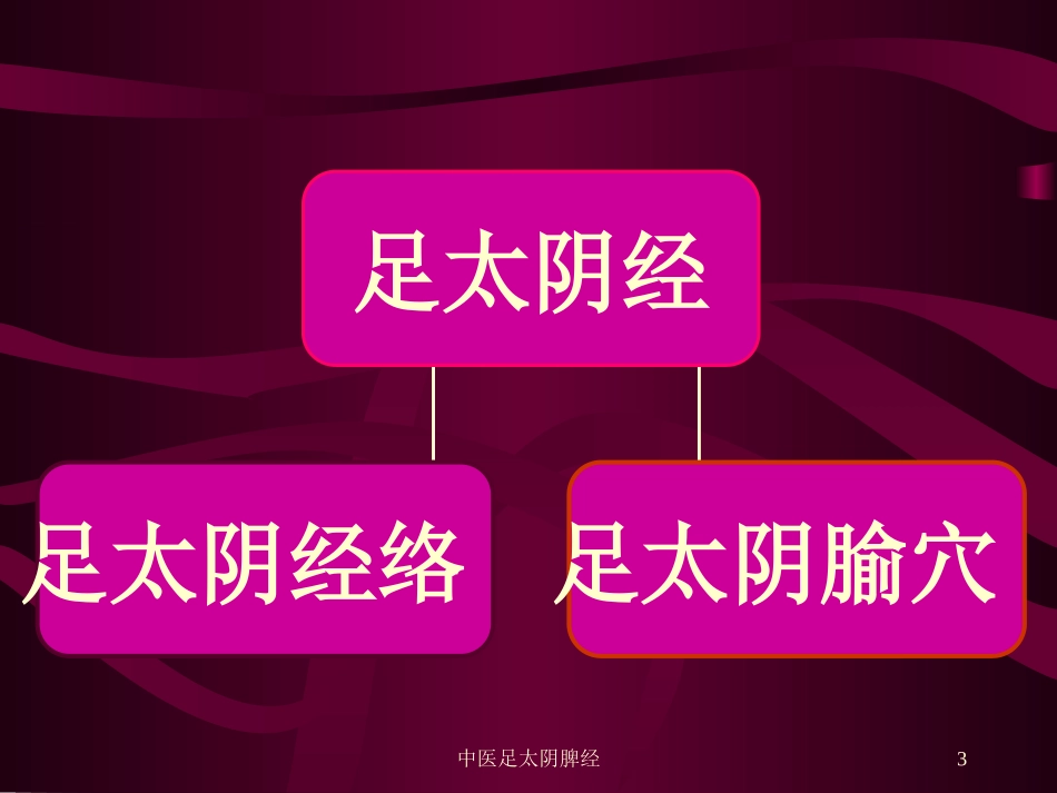 中医足太阴脾经培训课件.pptx_第3页