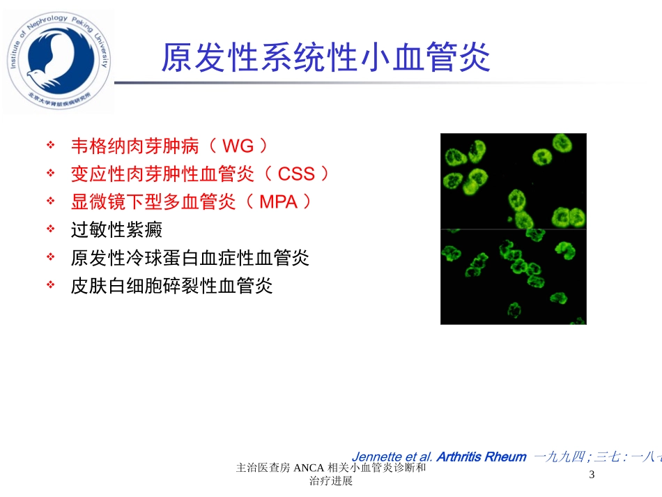 主治医查房ANCA相关小血管炎诊断和治疗进展培训课件.pptx_第3页