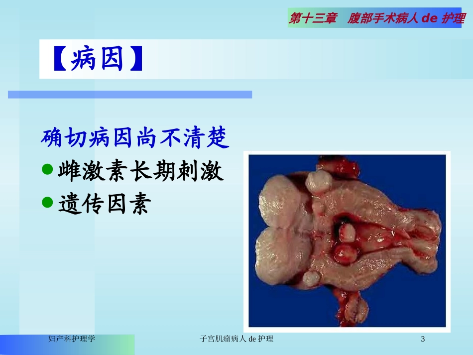 子宫肌瘤病人的护理培训课件.pptx_第3页