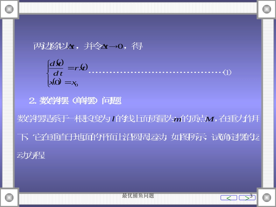 最优捕鱼问题培训课件.pptx_第3页