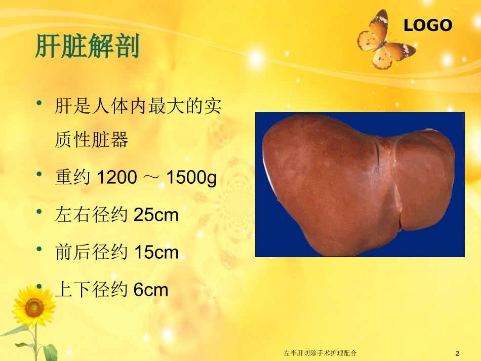 左半肝切除手术护理配合培训课件.pptx_第2页