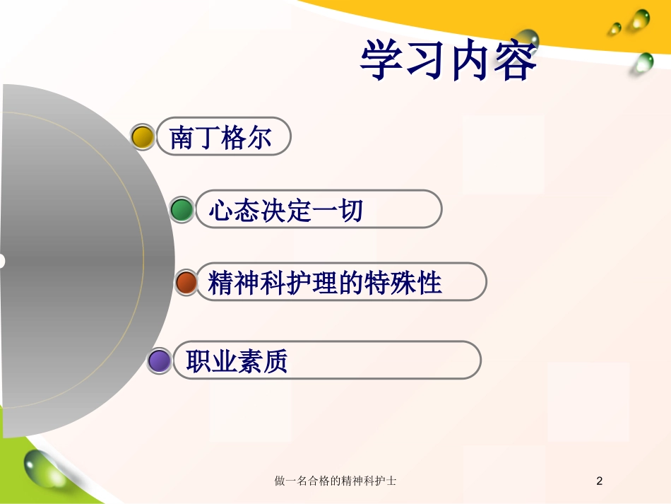 做一名合格的精神科护士培训课件.pptx_第2页