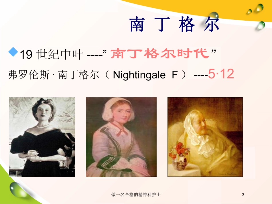 做一名合格的精神科护士培训课件.pptx_第3页