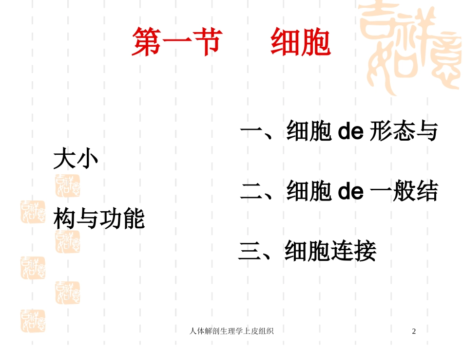 人体解剖生理学上皮组织培训课件.pptx_第2页