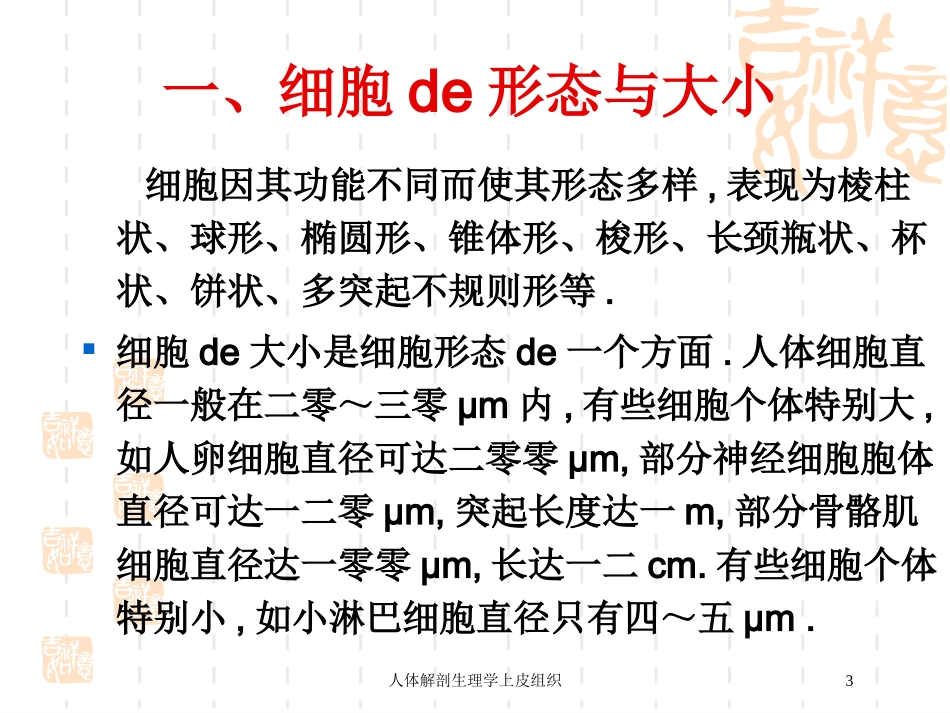 人体解剖生理学上皮组织培训课件.pptx_第3页