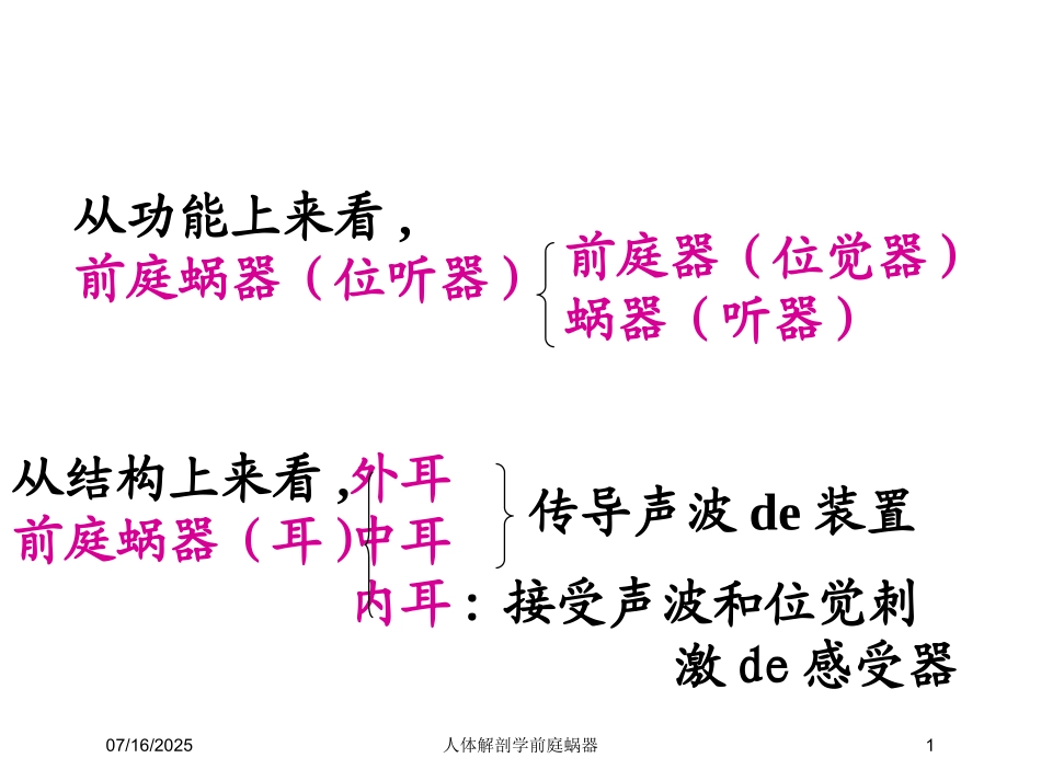 人体解剖学前庭蜗器课件.pptx_第1页