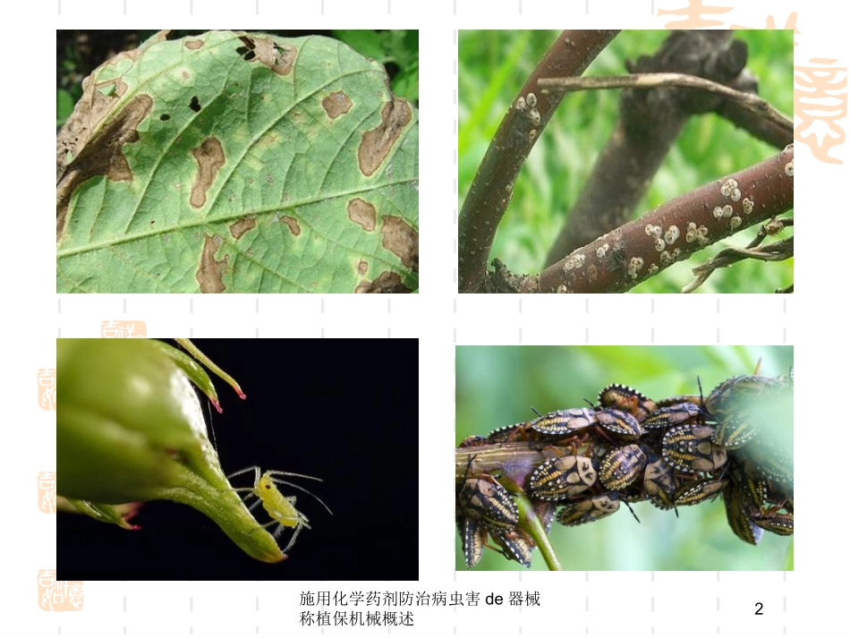 施用化学药剂防治病虫害的器械称植保机械概述培训课件.pptx_第2页