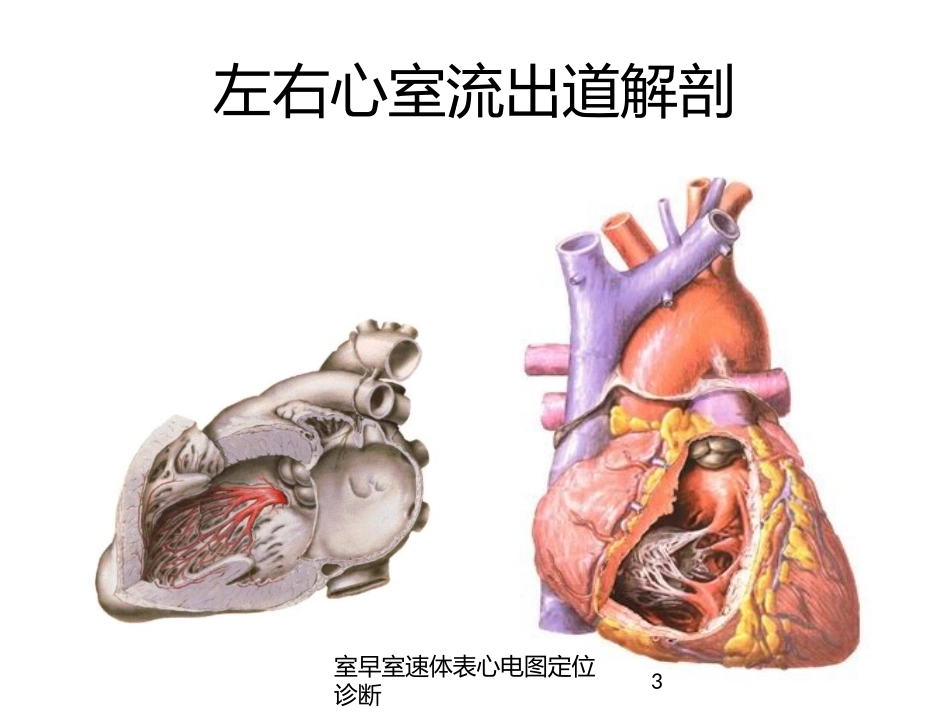 室早室速体表心电图定位诊断培训课件.pptx_第3页