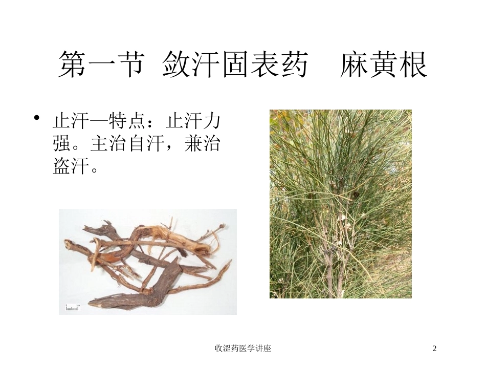 收涩药医学讲座培训课件.pptx_第2页