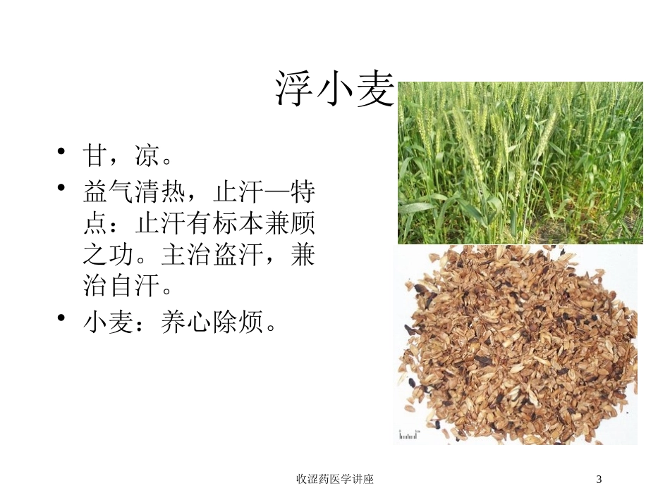 收涩药医学讲座培训课件.pptx_第3页