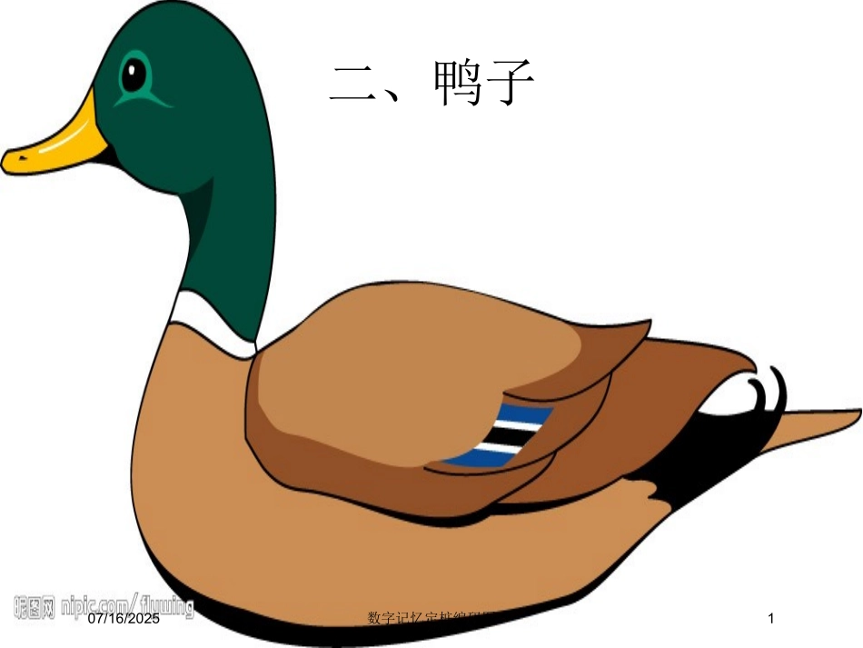 数字记忆定桩编码图培训课件.pptx_第1页