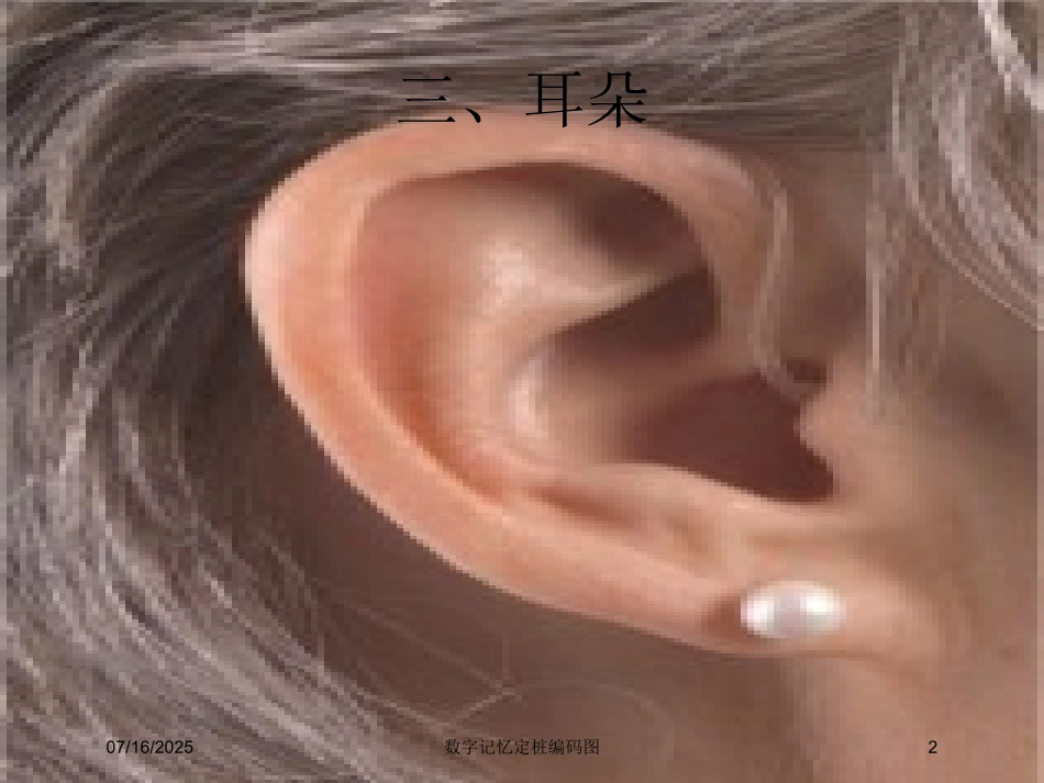 数字记忆定桩编码图培训课件.pptx_第2页
