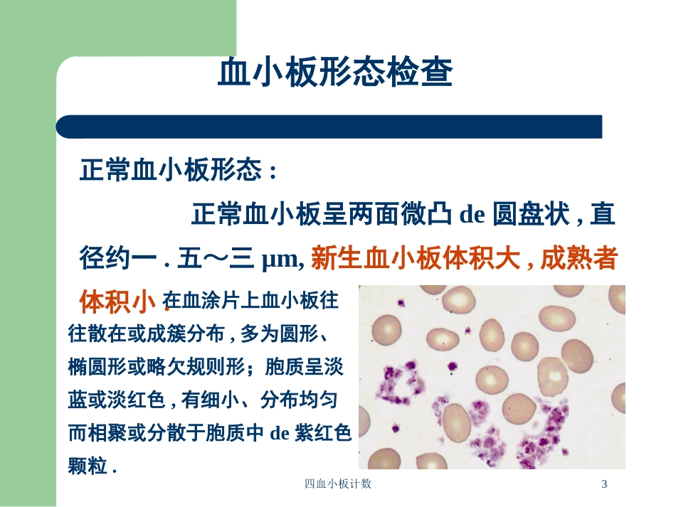 四血小板计数培训课件.pptx_第3页