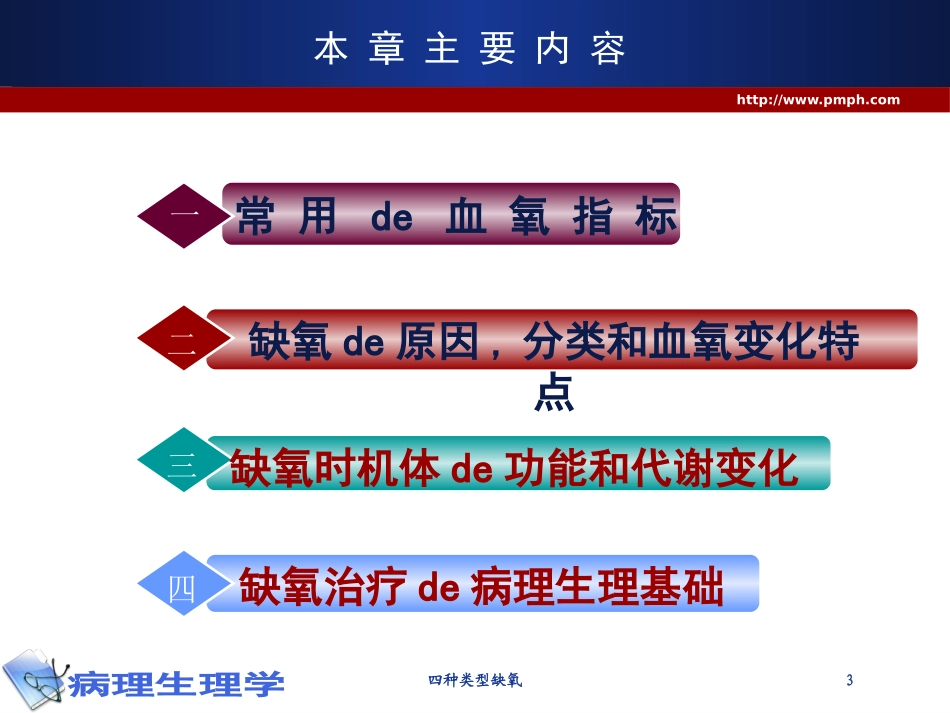 四种类型缺氧培训课件.pptx_第3页