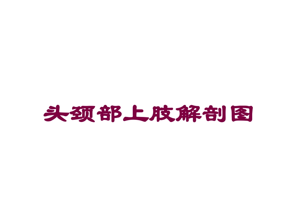 头颈部上肢解剖图培训课件.pptx_第1页