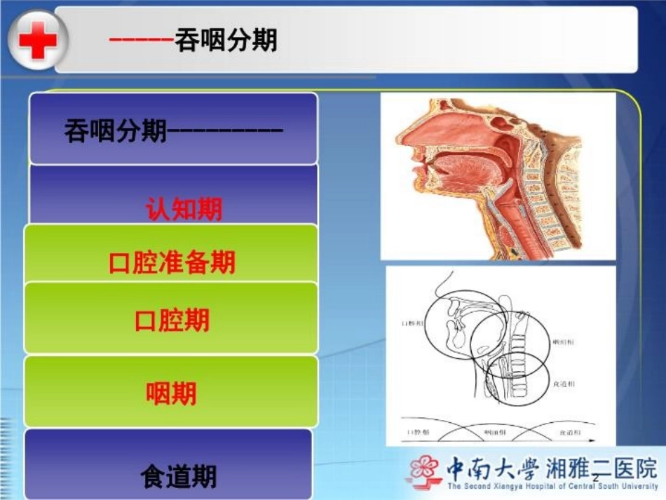 吞咽障碍治疗之深层咽肌神经刺激疗法DPNS培训课件.pptx_第2页