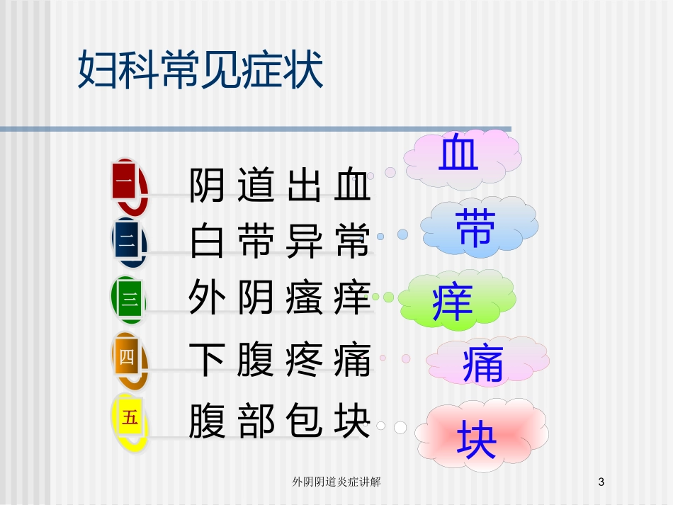 外阴阴道炎症讲解培训课件.pptx_第3页