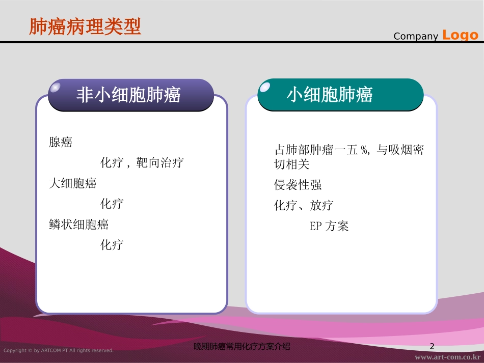 晚期肺癌常用化疗方案介绍培训课件.pptx_第2页
