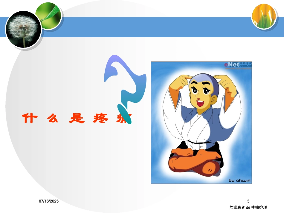 危重患者的疼痛护理培训课件.pptx_第3页