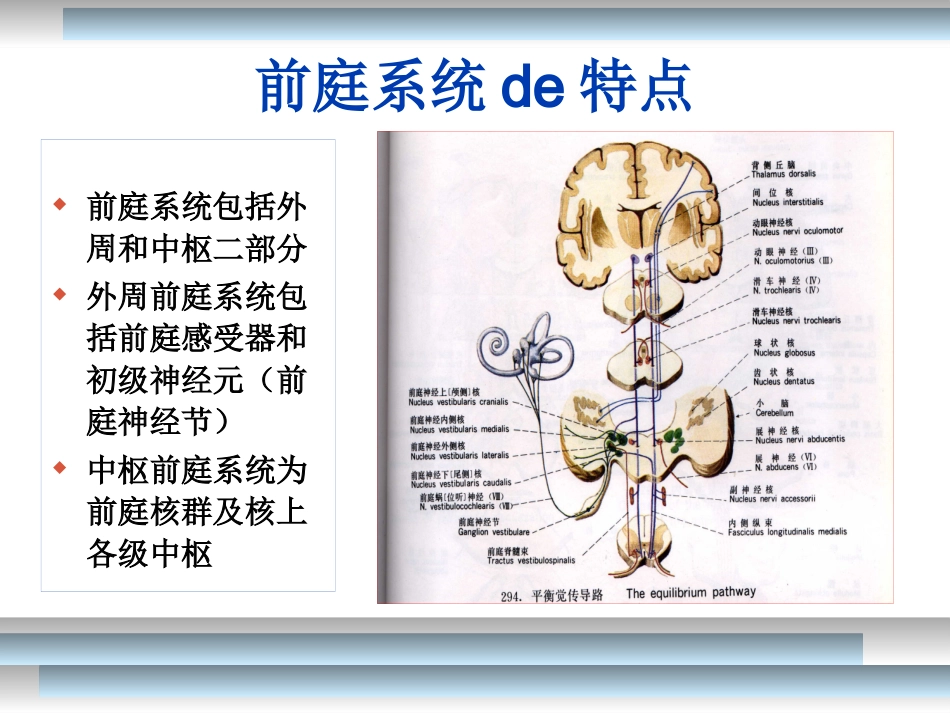 位置性眩晕的诊疗和治疗-讲课专业知识培训培训课件.pptx_第3页