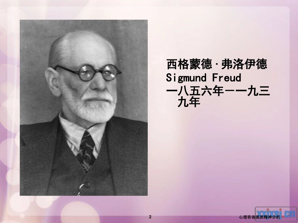 心理咨询流派精神分析培训课件.pptx_第2页