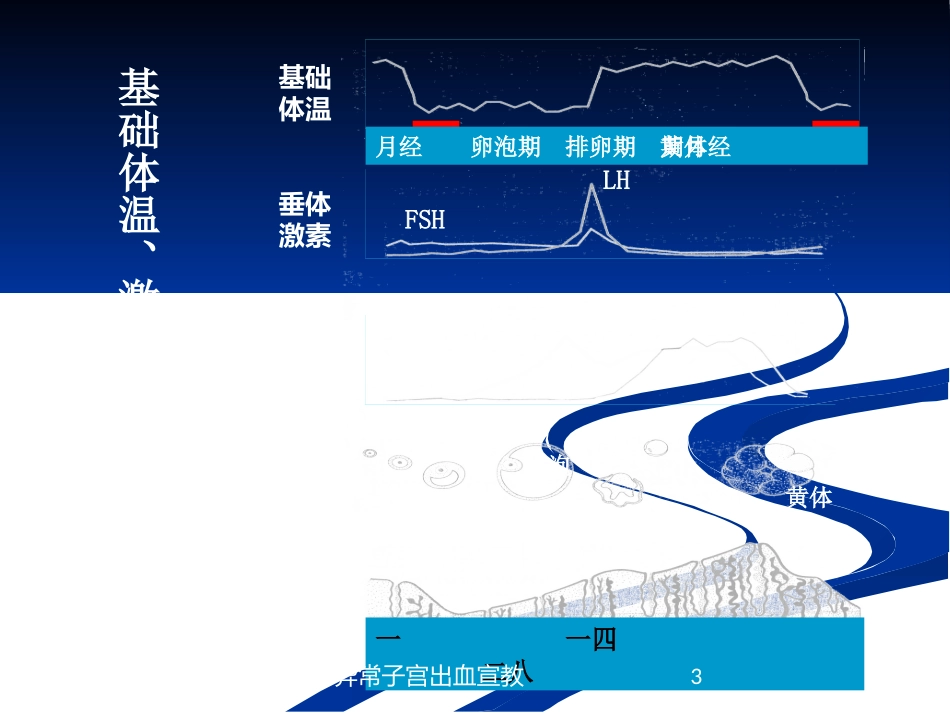 异常子宫出血宣教培训课件.pptx_第3页