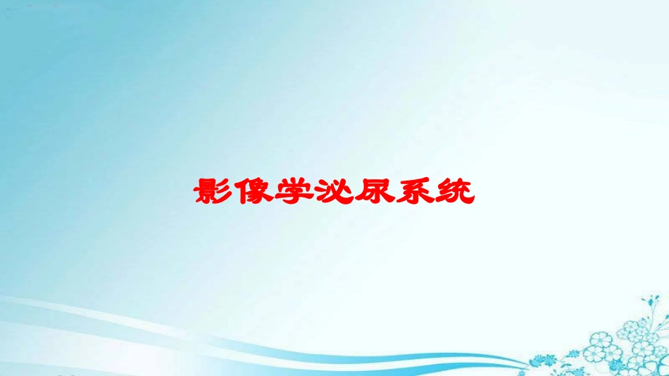 影像学泌尿系统培训课件.pptx_第1页