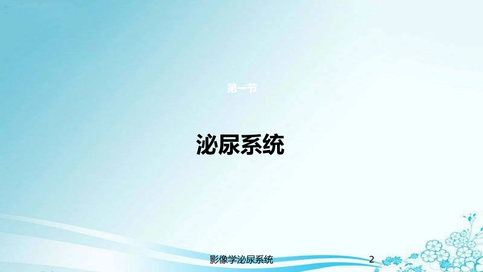 影像学泌尿系统培训课件.pptx_第2页